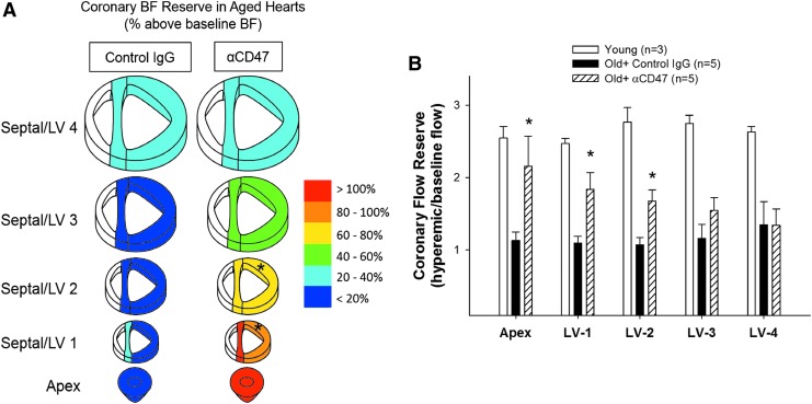 FIG. 6.