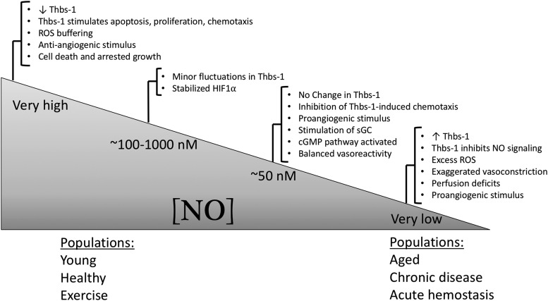 FIG. 5.