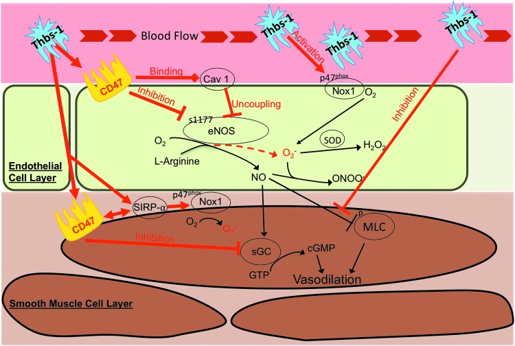 FIG. 4.