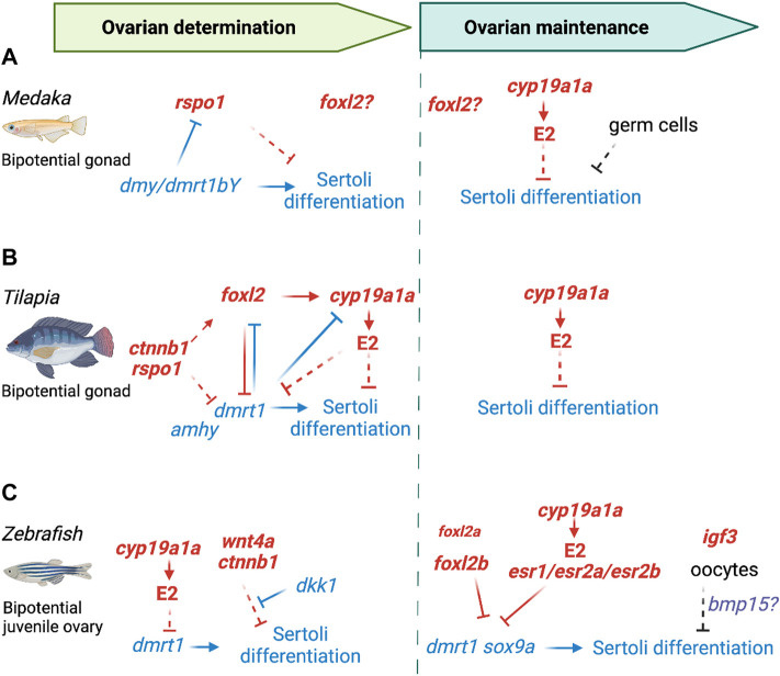 FIGURE 3