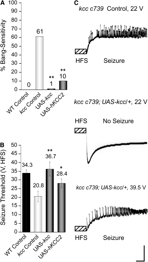 Figure 6.—