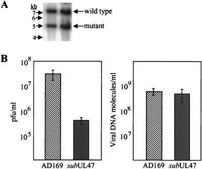 FIG. 8.