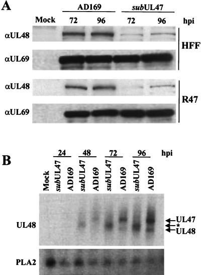 FIG. 4.