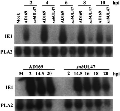 FIG. 6.