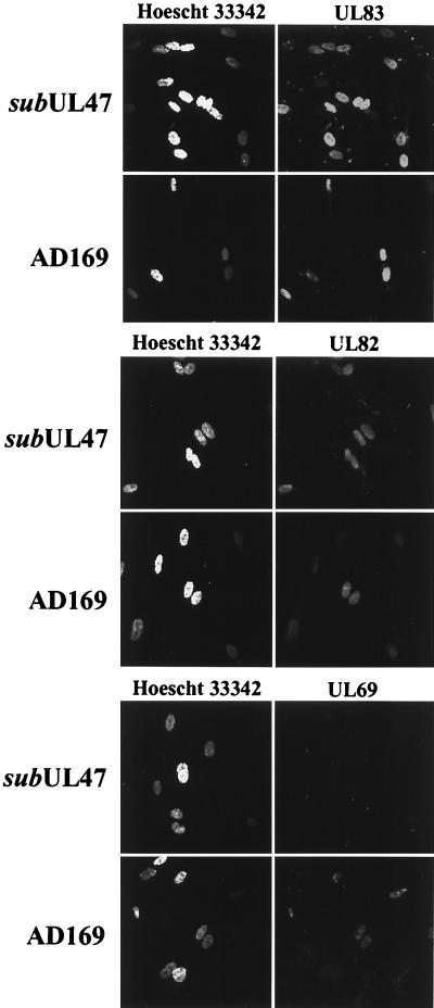 FIG. 7.