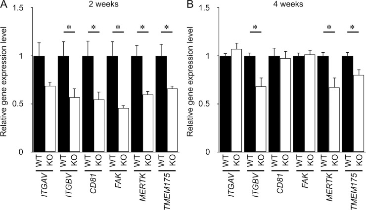 Figure 6.