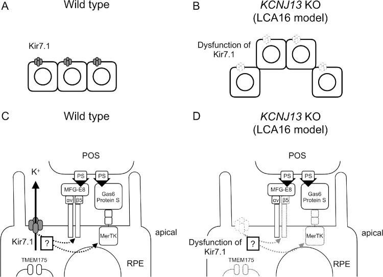 Figure 7.