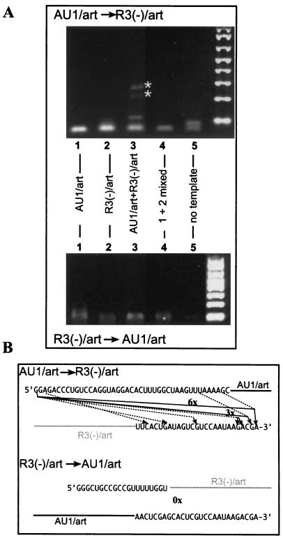 FIG. 6.