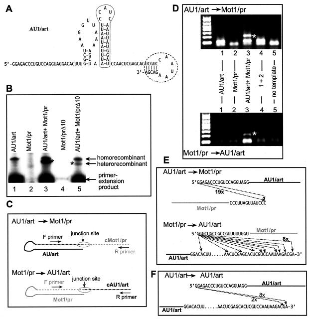 FIG. 3.