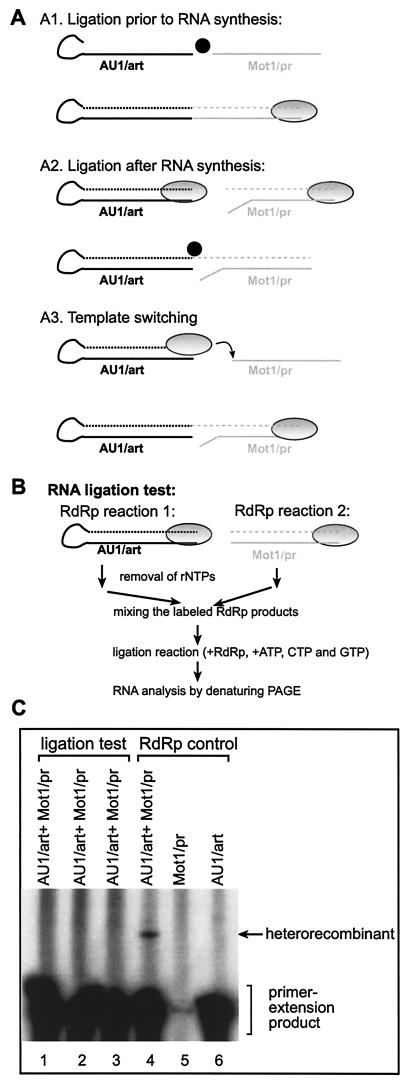 FIG. 5.