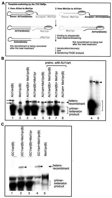 FIG. 4.