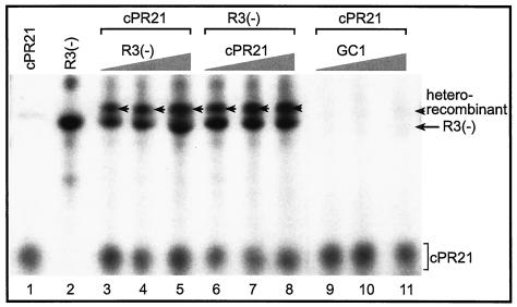 FIG. 7.