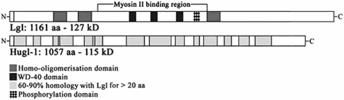 Fig. (3)