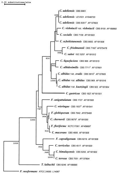 FIG. 1.