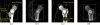 Fig. 10