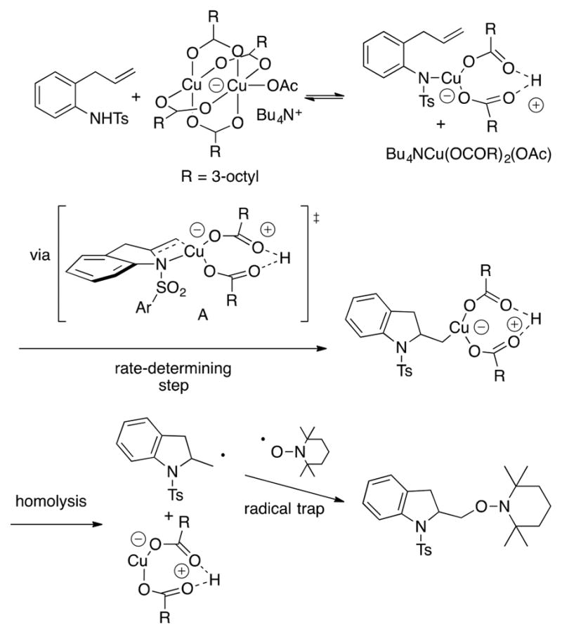 Scheme 5