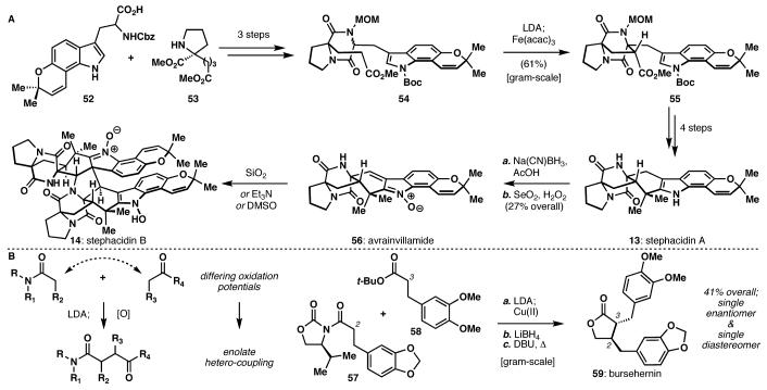 Scheme 6