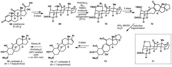 Scheme 8