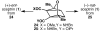 Scheme 2