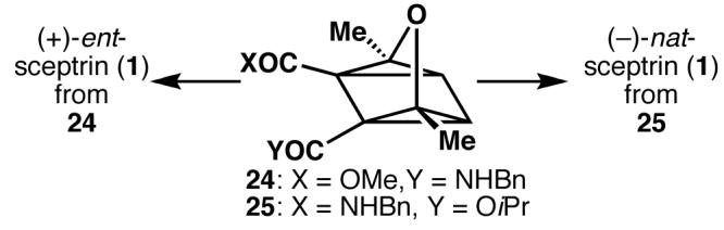 Scheme 2