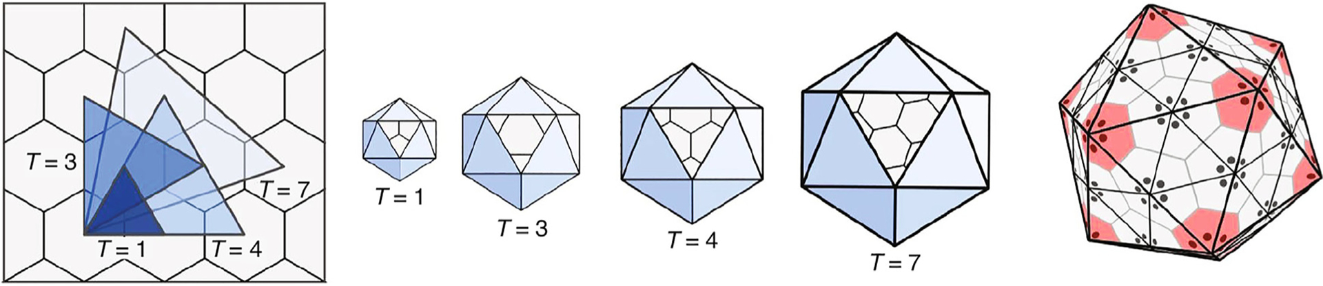 Fig. 11.