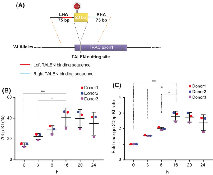 Fig. 3