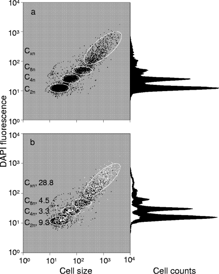 FIG. 2.