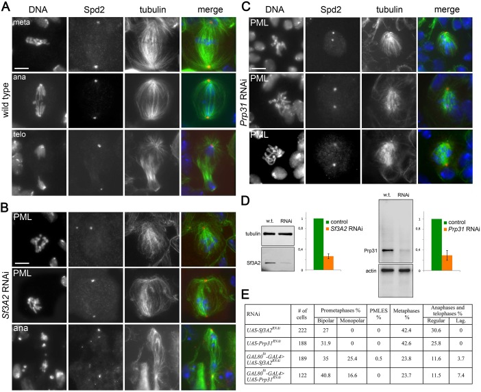 Figure 1—figure supplement 4.