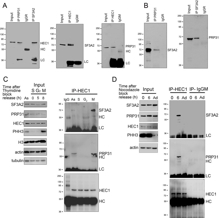 Figure 10.