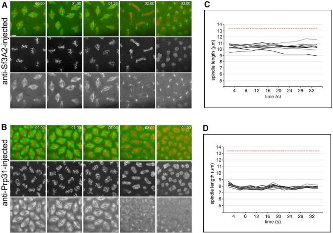 Figure 4—figure supplement 2.