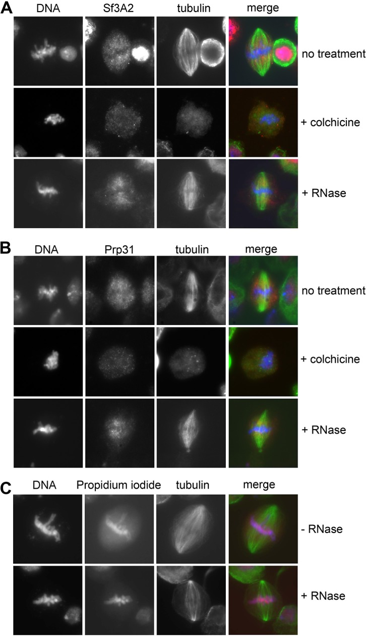 Figure 5—figure supplement 2.