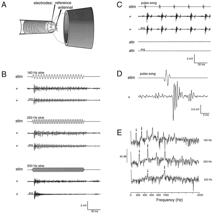 Fig. 3.