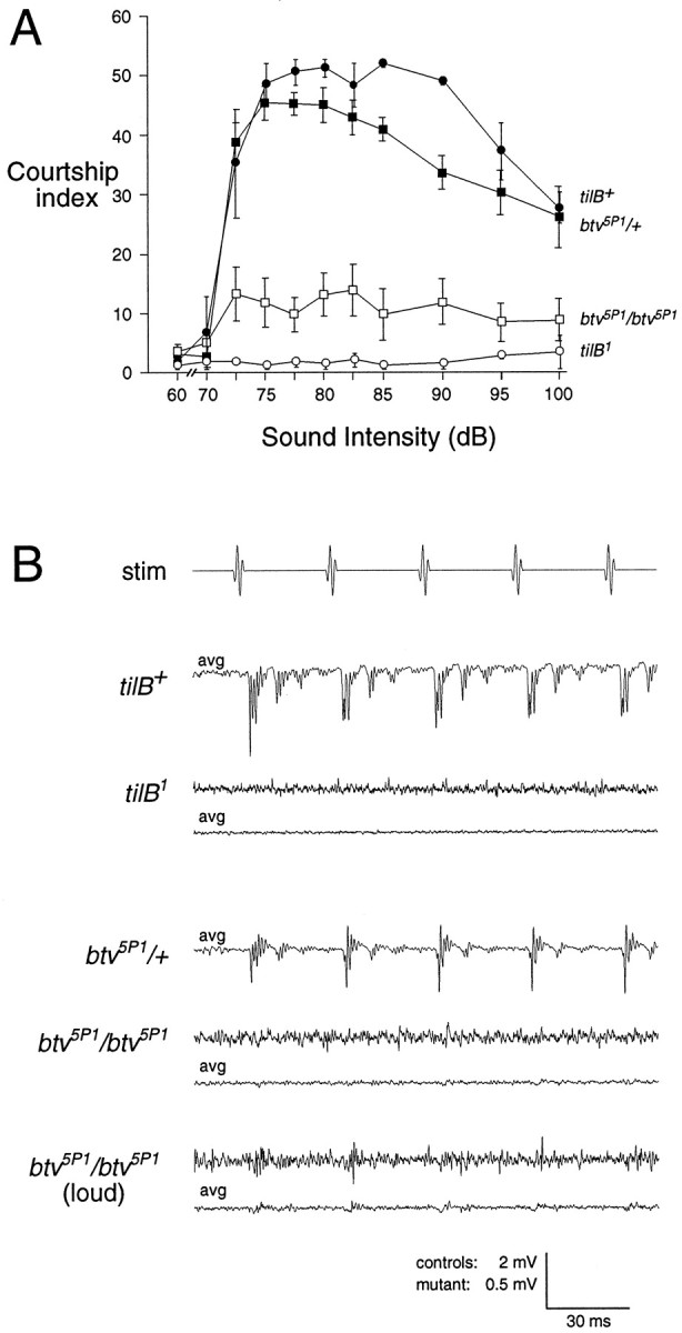 Fig. 5.