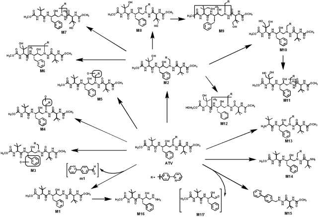 Fig. 2.