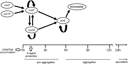 Fig. 10.