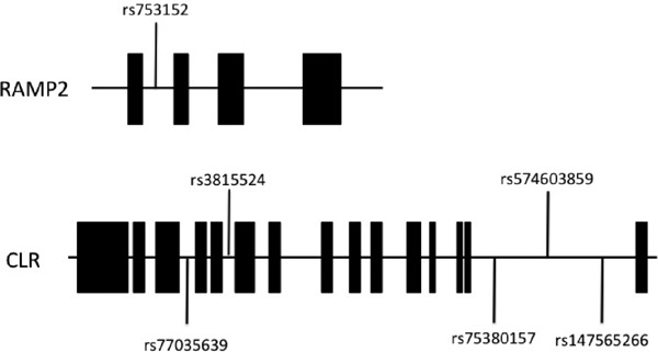 Supplementary Fig. 2.