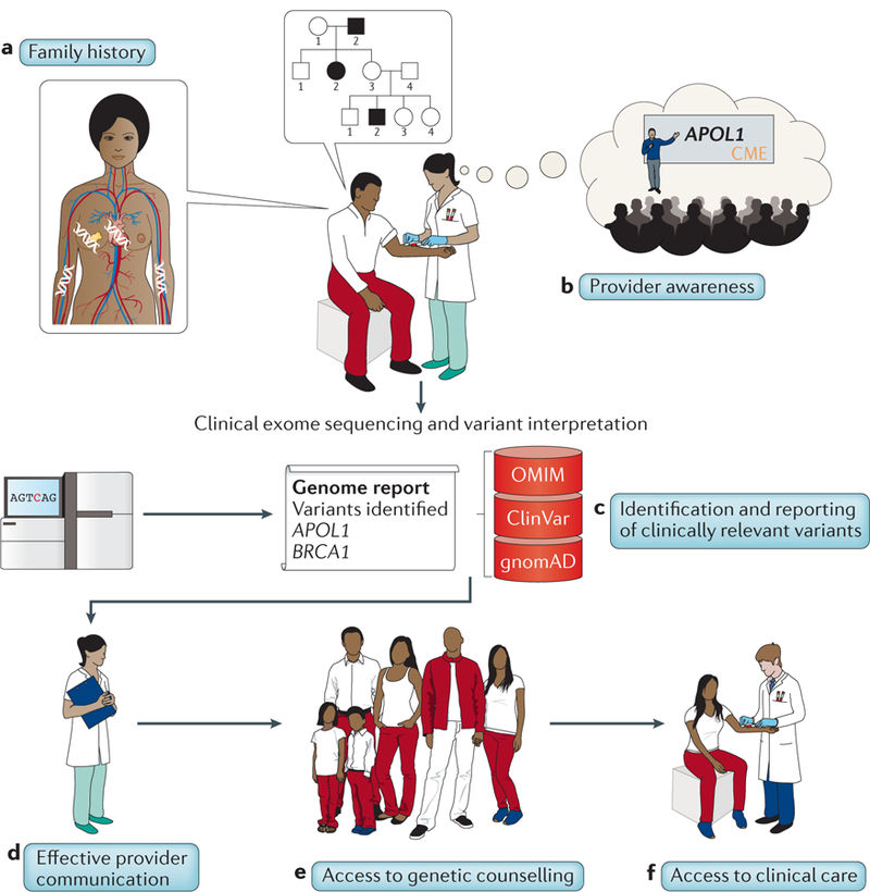 graphic file with name nihms-1026671-f0002.jpg