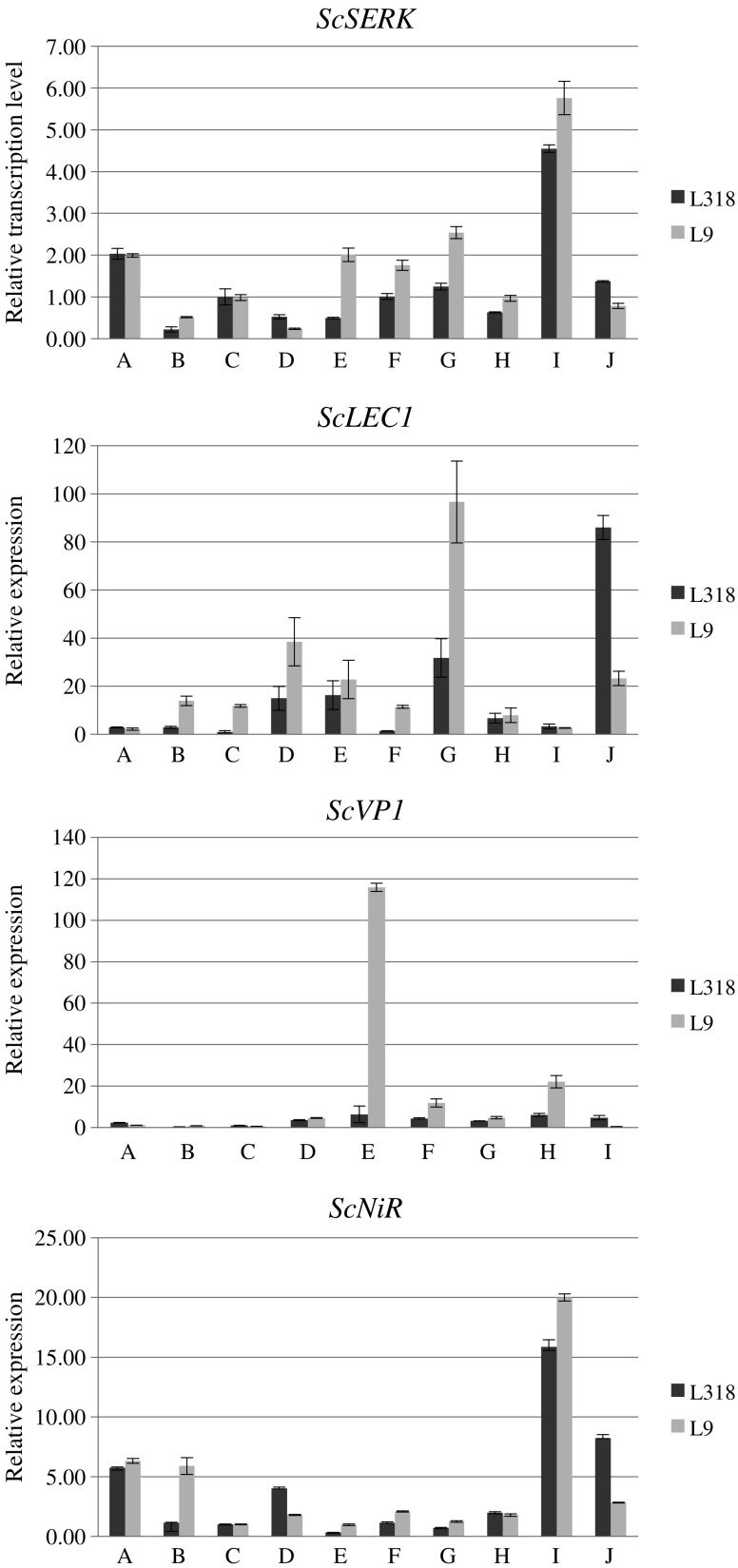 Fig. 3