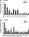 FIG 6