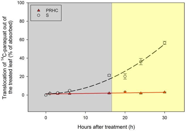 FIGURE 3