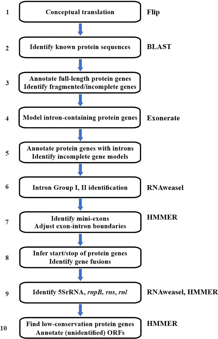 Figure 2