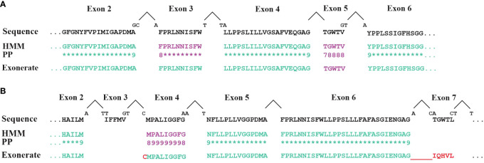 Figure 5