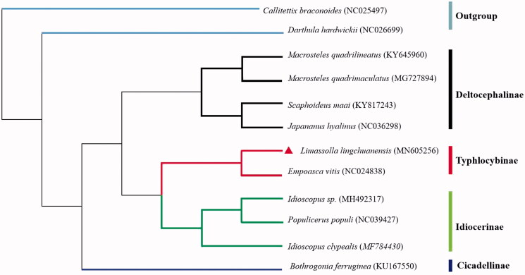 Figure 1.