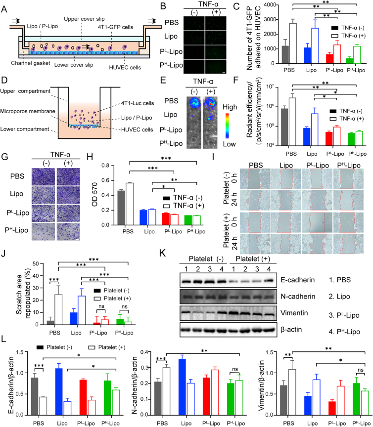 Figure 6