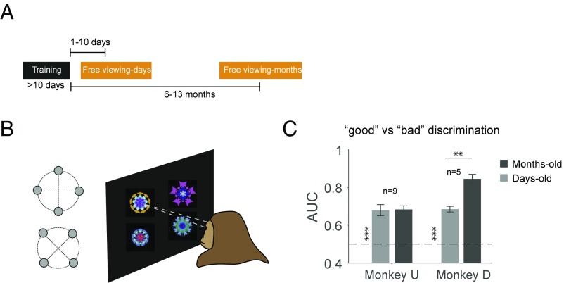 Fig. 8.