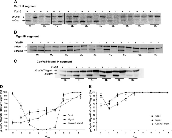 FIGURE 2.