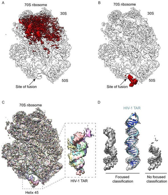 Figure 4-