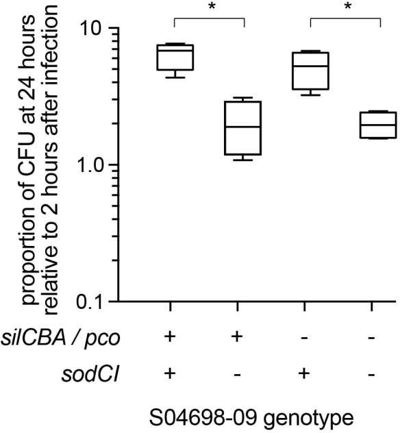 FIGURE 7