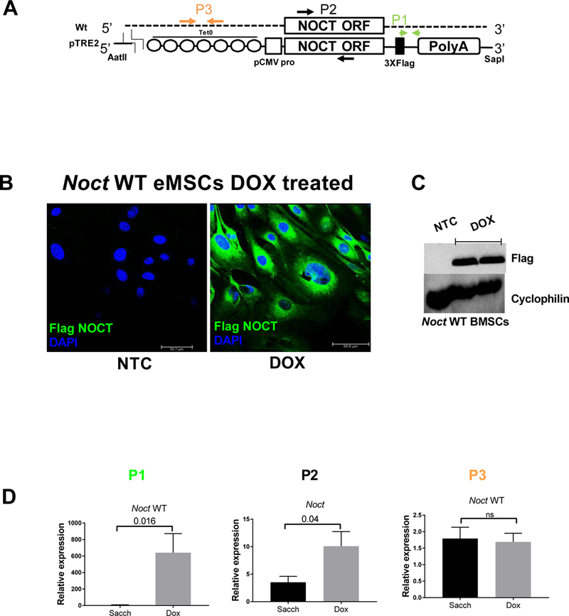 Figure 1: