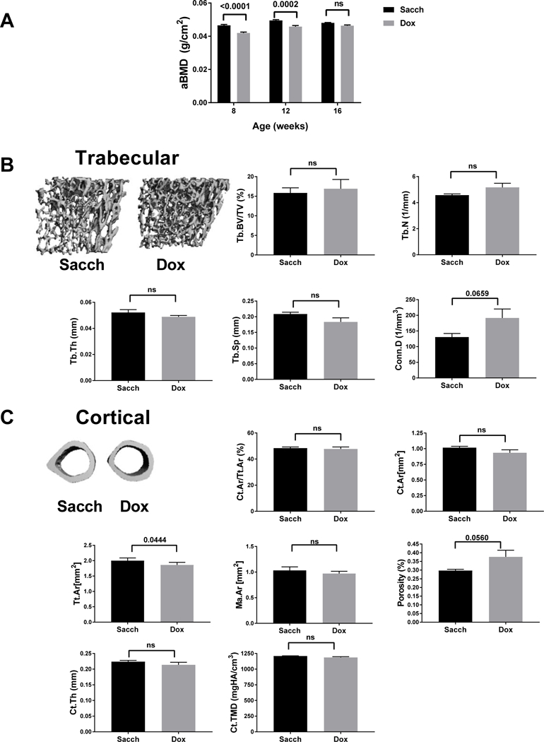 Figure 4: